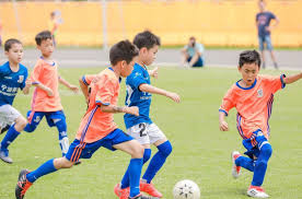 bsports官网 杨氏太极拳室内健身十三势